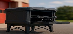 Lite Lion WatchTower Drone Hub FR